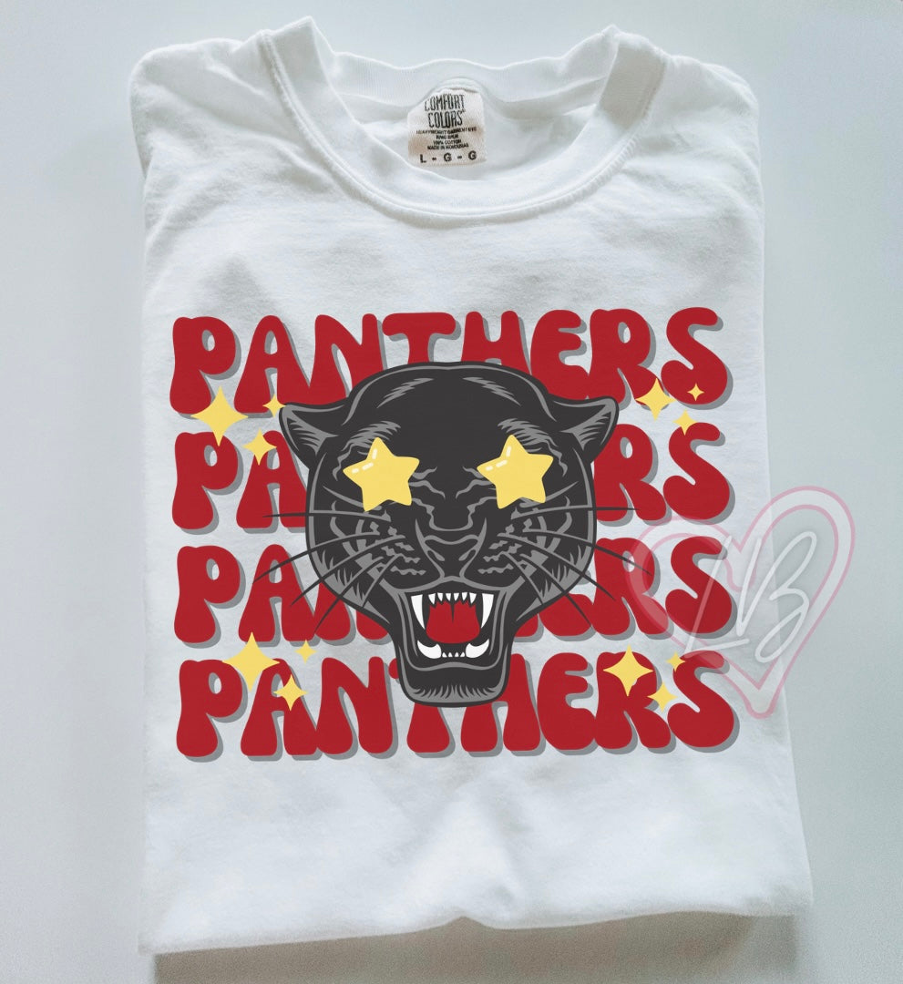 Panthers Graphic T-Shirt