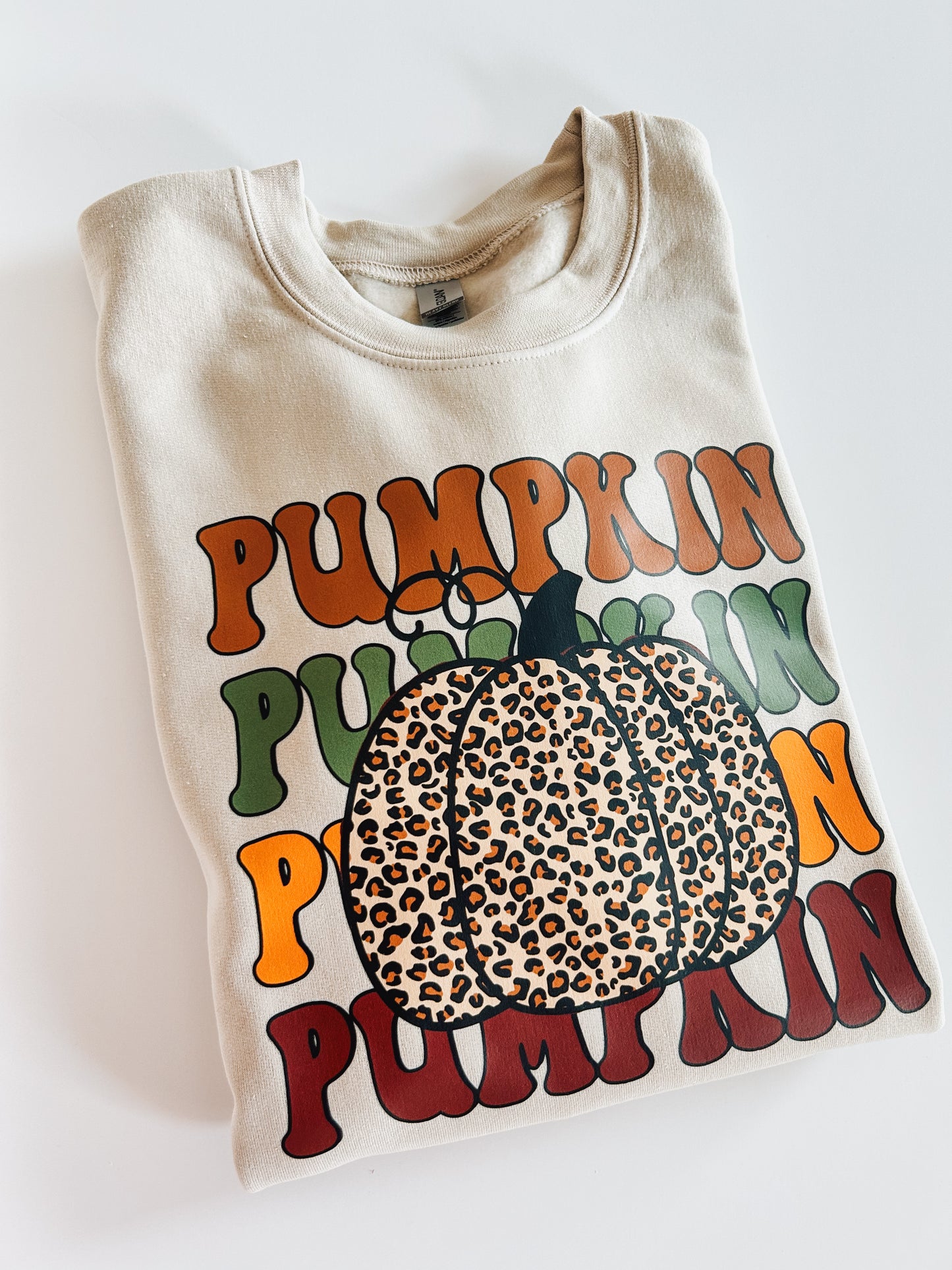Pumpkin Sweatshirt